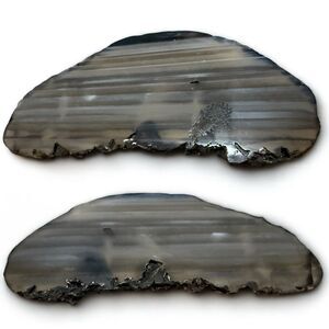 Gray Black Agate Slice Geode Decor Crystal Cut Polished Natural Stone 4”